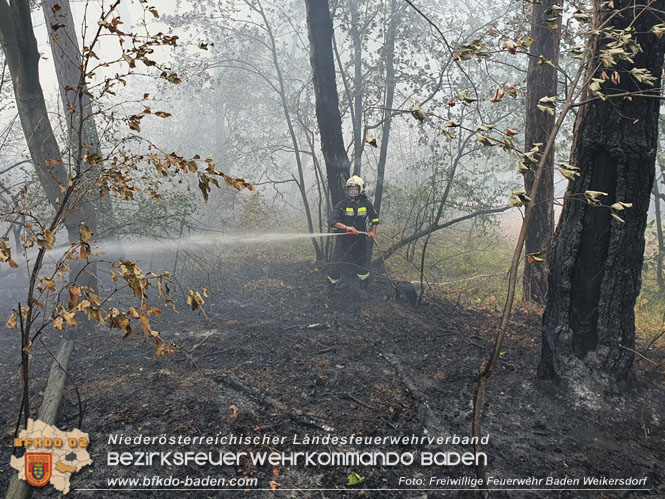 20220820 Alarmstufe 3 bei Waldbrand am Harzberg   Foto: FF Bad Weikersdorf