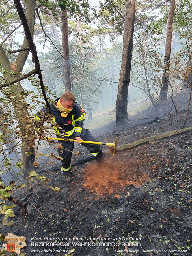 20220820 Alarmstufe 3 bei Waldbrand am Harzberg   Foto: FF Bad Weikersdorf