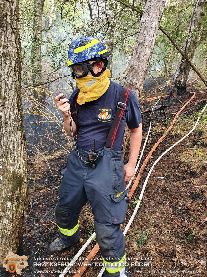 20220820 Alarmstufe 3 bei Waldbrand am Harzberg   Foto: FF Bad Weikersdorf