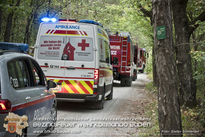 20220820 Alarmstufe 3 bei Waldbrand am Harzberg   Foto: Stefan Schneider BFKDO BADEN