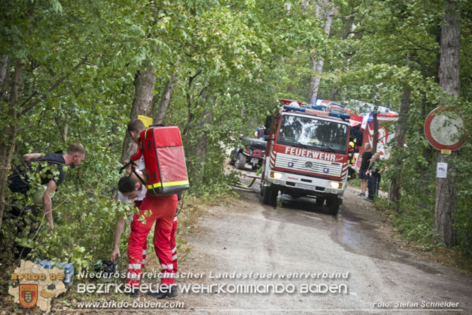 20220820 Alarmstufe 3 bei Waldbrand am Harzberg   Foto: Stefan Schneider BFKDO BADEN