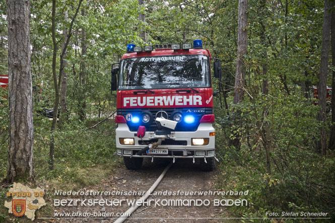 20220820 Alarmstufe 3 bei Waldbrand am Harzberg   Foto: Stefan Schneider BFKDO BADEN