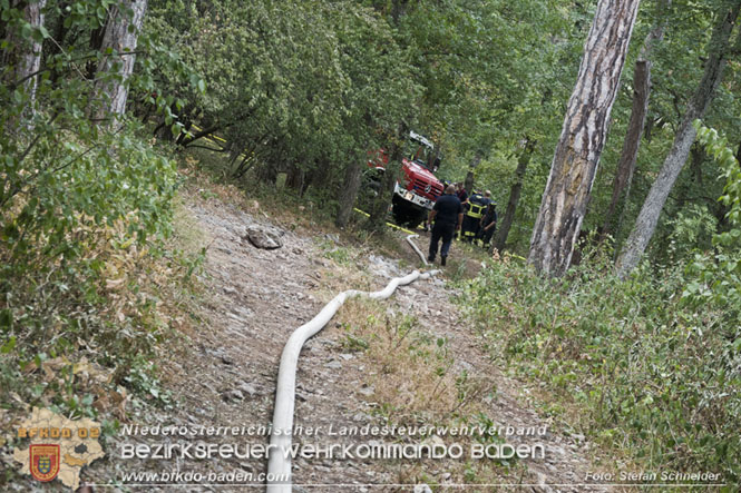 20220820 Alarmstufe 3 bei Waldbrand am Harzberg   Foto: Stefan Schneider BFKDO BADEN