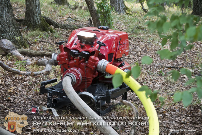 20220820 Alarmstufe 3 bei Waldbrand am Harzberg   Foto: Stefan Schneider BFKDO BADEN