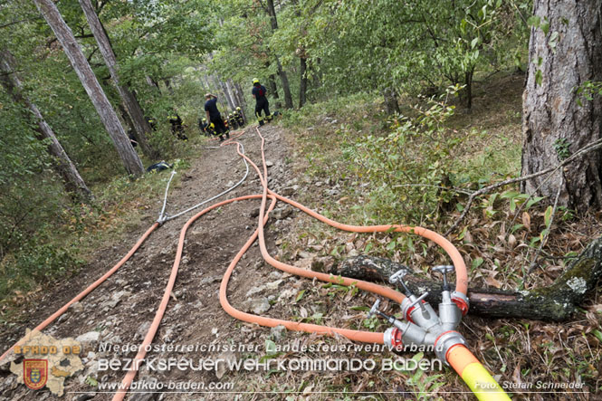 20220820 Alarmstufe 3 bei Waldbrand am Harzberg   Foto: Stefan Schneider BFKDO BADEN