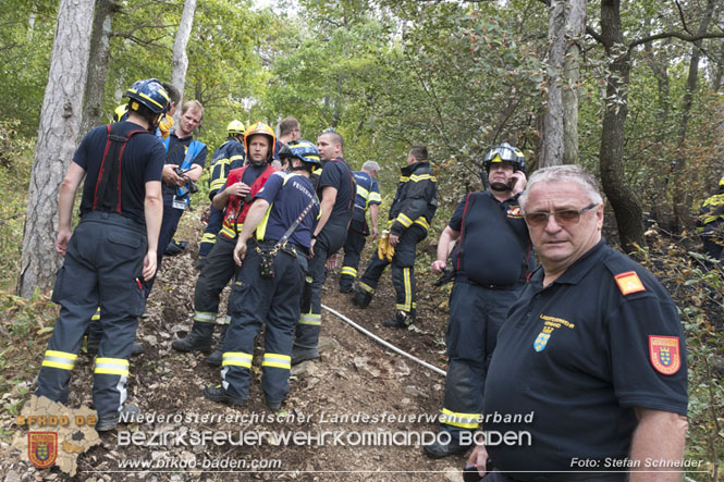 20220820 Alarmstufe 3 bei Waldbrand am Harzberg Foto: Stefan Schneider BFKDO BADEN 20220820 Alarmstufe 3 bei Waldbrand am Harzberg Foto: Stefan Schneider BFKDO BADEN