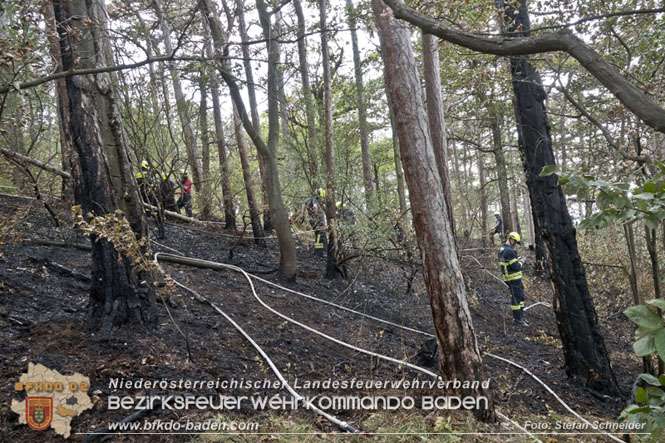 20220820 Alarmstufe 3 bei Waldbrand am Harzberg   Foto: Stefan Schneider BFKDO BADEN