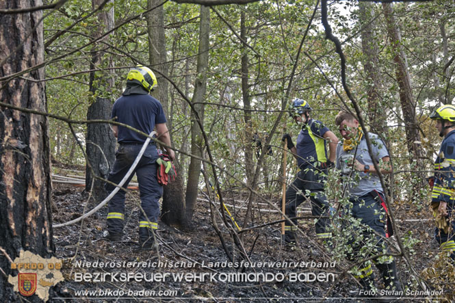 20220820 Alarmstufe 3 bei Waldbrand am Harzberg Foto: Stefan Schneider BFKDO BADEN 20220820 Alarmstufe 3 bei Waldbrand am Harzberg Foto: Stefan Schneider BFKDO BADEN
