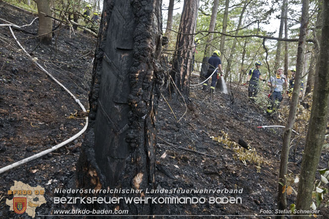 20220820 Alarmstufe 3 bei Waldbrand am Harzberg   Foto: Stefan Schneider BFKDO BADEN