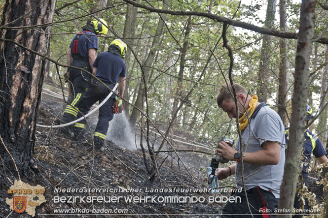 20220820 Alarmstufe 3 bei Waldbrand am Harzberg   Foto: Stefan Schneider BFKDO BADEN