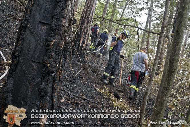 20220820 Alarmstufe 3 bei Waldbrand am Harzberg   Foto: Stefan Schneider BFKDO BADEN