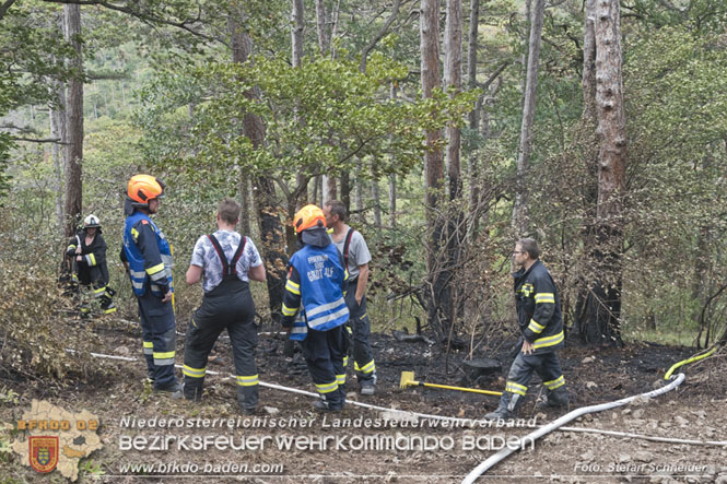 20220820 Alarmstufe 3 bei Waldbrand am Harzberg   Foto: Stefan Schneider BFKDO BADEN