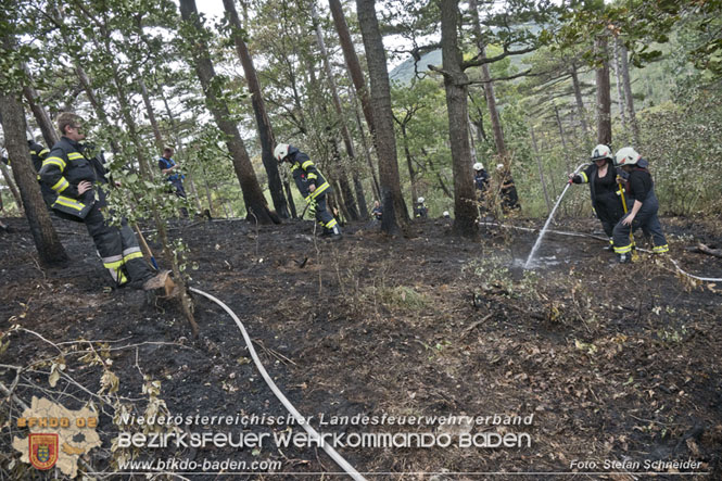 20220820 Alarmstufe 3 bei Waldbrand am Harzberg   Foto: Stefan Schneider BFKDO BADEN