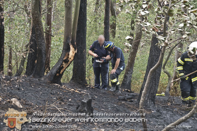 20220820 Alarmstufe 3 bei Waldbrand am Harzberg   Foto: Stefan Schneider BFKDO BADEN