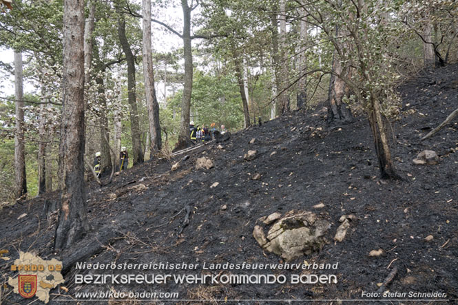 20220820 Alarmstufe 3 bei Waldbrand am Harzberg   Foto: Stefan Schneider BFKDO BADEN