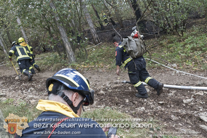 20220820 Alarmstufe 3 bei Waldbrand am Harzberg   Foto: Stefan Schneider BFKDO BADEN