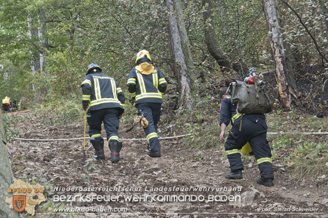 20220820 Alarmstufe 3 bei Waldbrand am Harzberg   Foto: Stefan Schneider BFKDO BADEN