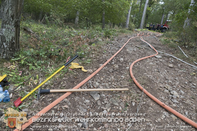 20220820 Alarmstufe 3 bei Waldbrand am Harzberg   Foto: Stefan Schneider BFKDO BADEN