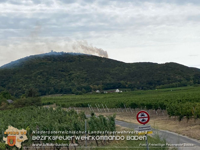 20220820 Alarmstufe 3 bei Waldbrand am Harzberg   Foto: FF Soo