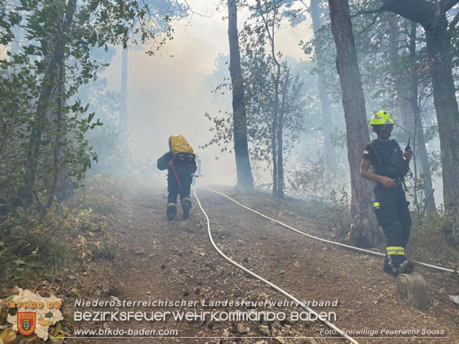 20220820 Alarmstufe 3 bei Waldbrand am Harzberg   Foto: FF Soo