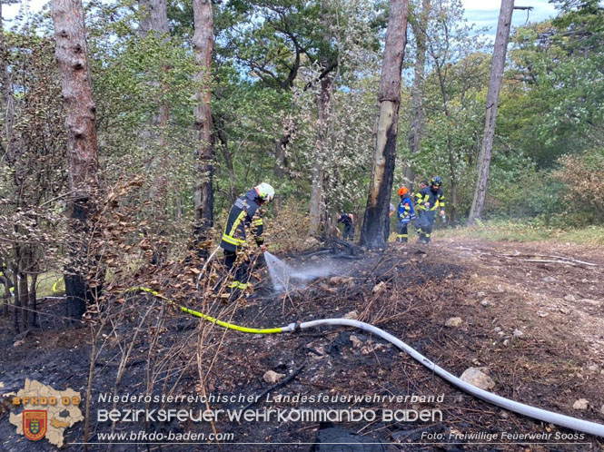 20220820 Alarmstufe 3 bei Waldbrand am Harzberg Foto: FF Sooß 20220820 Alarmstufe 3 bei Waldbrand am Harzberg Foto: FF Sooß