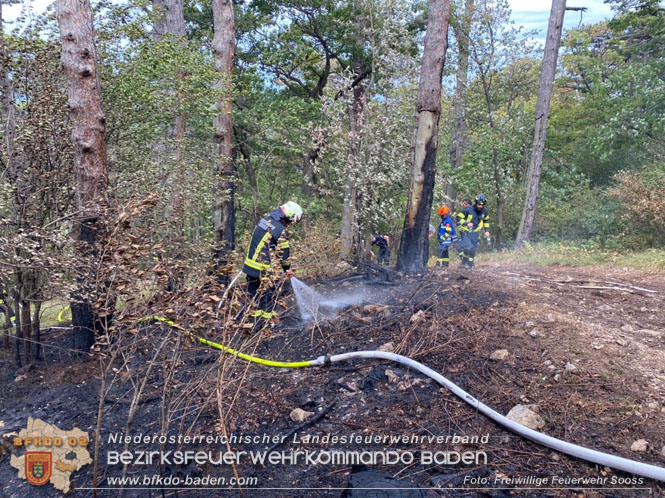 20220820 Alarmstufe 3 bei Waldbrand am Harzberg   Foto: FF Soo