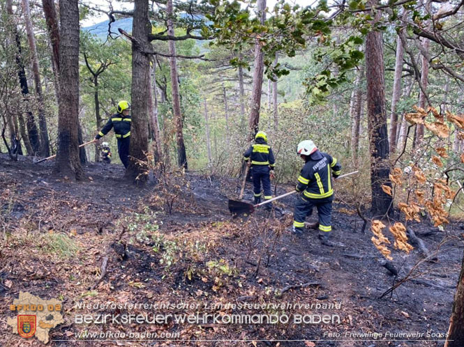 20220820 Alarmstufe 3 bei Waldbrand am Harzberg   Foto: FF Soo