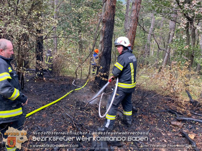 20220820 Alarmstufe 3 bei Waldbrand am Harzberg   Foto: FF Soo