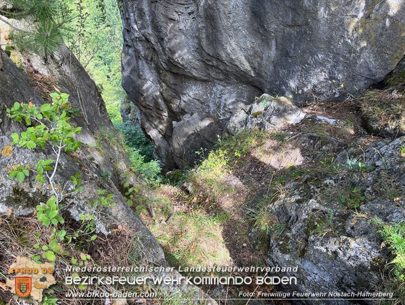 20220820 Hund ber Felsen abgestrzt in Nstach-Hafnerberg  Foto: FF Nstach / Markus Fischer