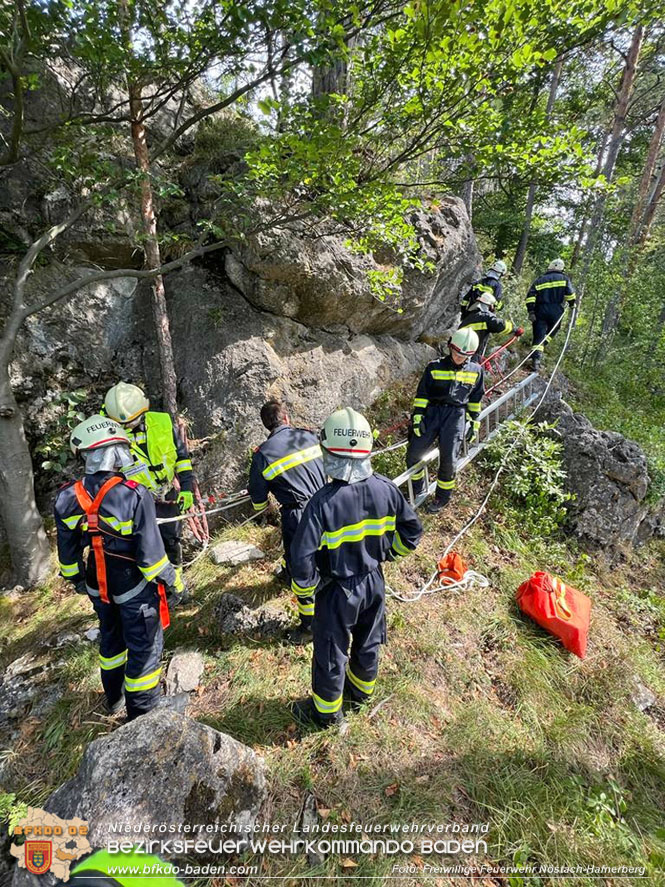 20220820 Hund ber Felsen abgestrzt in Nstach-Hafnerberg  Foto: FF Nstach / Markus Fischer