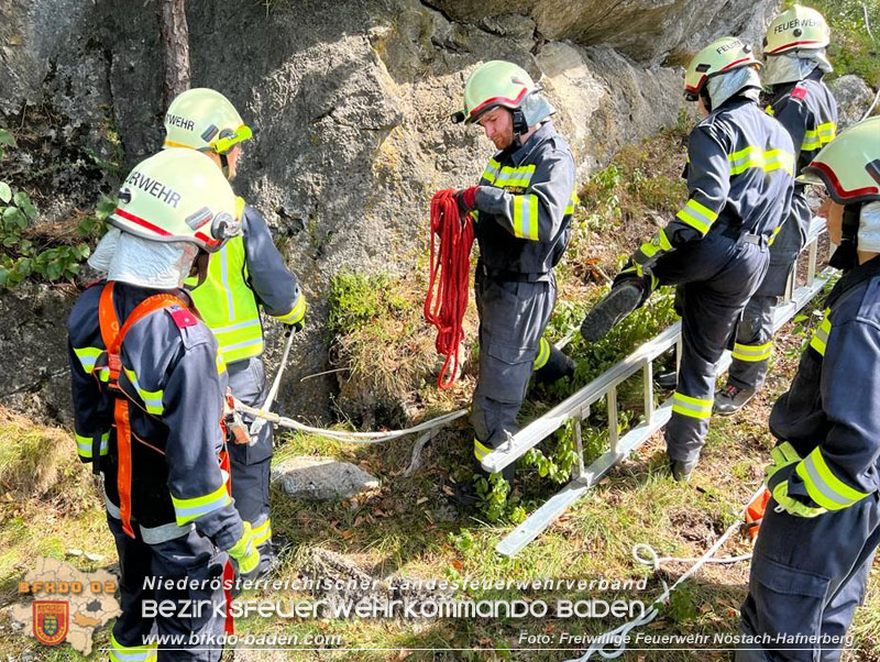 20220820 Hund ber Felsen abgestrzt in Nstach-Hafnerberg  Foto: FF Nstach / Markus Fischer