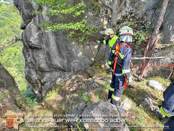 20220820 Hund ber Felsen abgestrzt in Nstach-Hafnerberg  Foto: FF Nstach / Markus Fischer