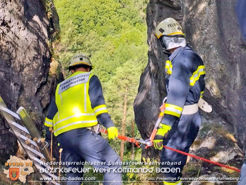 20220820 Hund ber Felsen abgestrzt in Nstach-Hafnerberg  Foto: FF Nstach / Markus Fischer