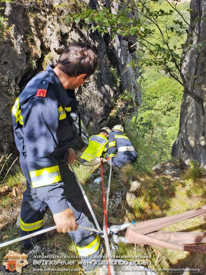 20220820 Hund ber Felsen abgestrzt in Nstach-Hafnerberg  Foto: FF Nstach / Markus Fischer