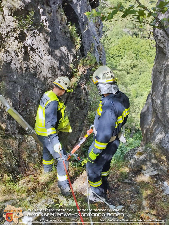 20220820 Hund ber Felsen abgestrzt in Nstach-Hafnerberg  Foto: FF Nstach / Markus Fischer