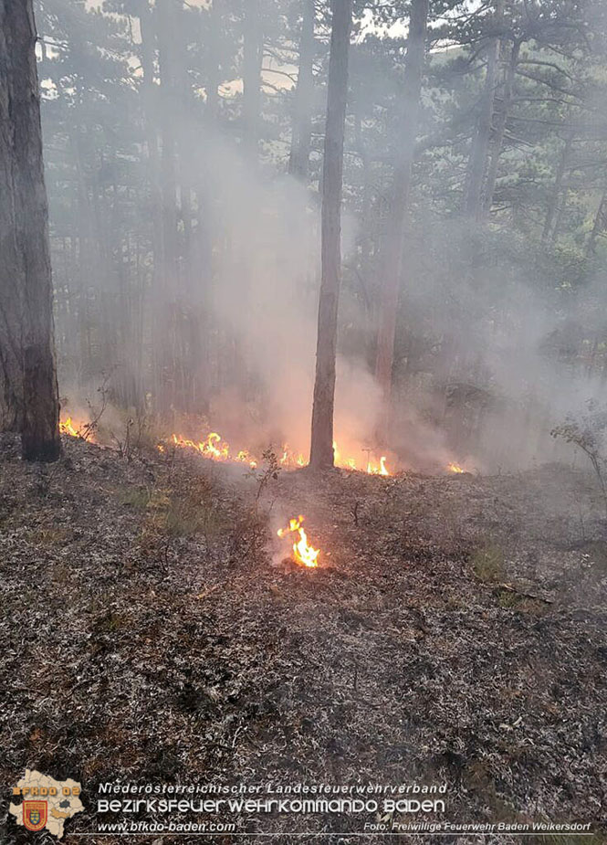 20220928 Waldbrand im Bereich Jgerhaus  Foto: Freiwillige Feuerwehr Baden Weikersdorf