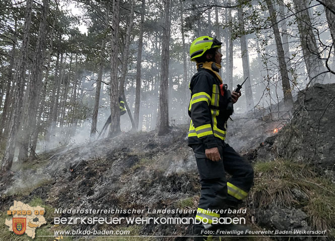 20220928 Waldbrand im Bereich Jgerhaus  Foto: Georg Mrvka Freiwillige Feuerwehr Baden Weikersdorf