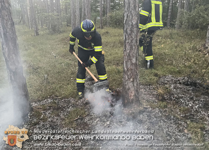 20220928 Waldbrand im Bereich Jgerhaus  Foto: Georg Mrvka Freiwillige Feuerwehr Baden Weikersdorf