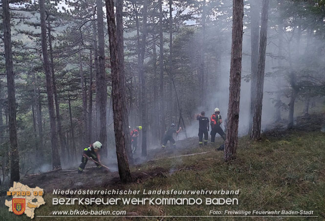 20220928 Waldbrand im Bereich Jgerhaus  Foto: Felix Van de Castell Freiwillige Feuerwehr Baden-Stadt