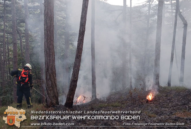 20220928 Waldbrand im Bereich Jgerhaus  Foto: Felix Van de Castell Freiwillige Feuerwehr Baden-Stadt