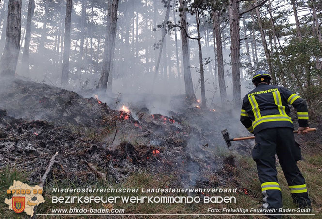 20220928 Waldbrand im Bereich Jägerhaus  Foto: Felix Van de Castell Freiwillige Feuerwehr Baden-Stadt