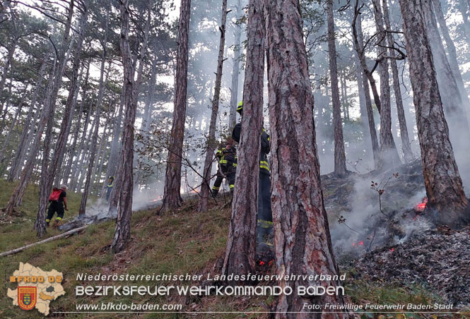 20220928 Waldbrand im Bereich Jgerhaus  Foto: Felix Van de Castell Freiwillige Feuerwehr Baden-Stadt