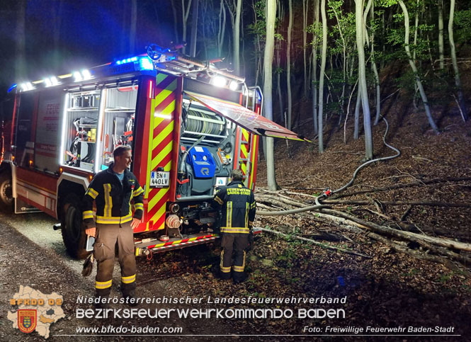 20220928 Waldbrand im Bereich Jgerhaus  Foto: Stefan Schneider Freiwillige Feuerwehr Baden-Stadt