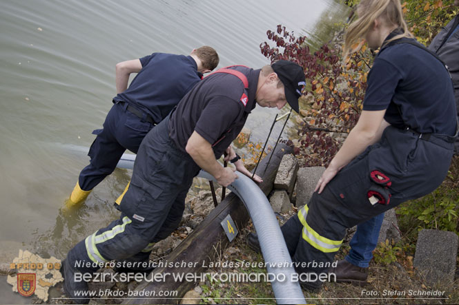 20221015 Fischbestand in Gefahr - Feuerwehr pumpt über 3 Millionen Liter Wasser Foto: Stefan Schneider BFKDO BADEN 20221015 Fischbestand in Gefahr - Feuerwehr pumpt über 3 Millionen Liter Wasser Foto: Stefan Schneider BFKDO BADEN