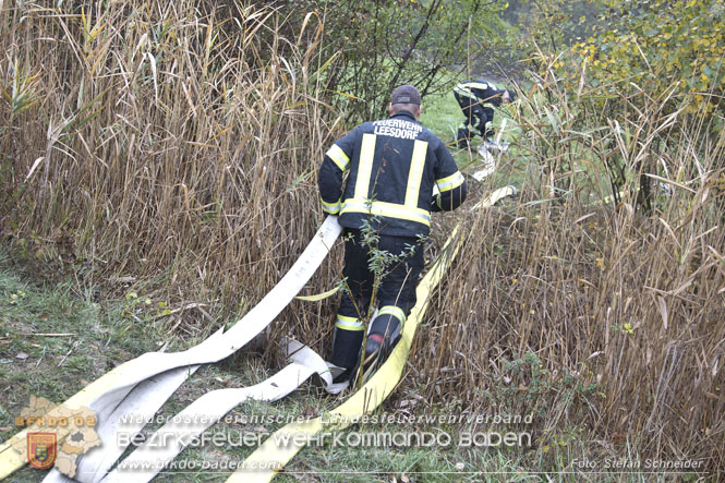 20221015 Fischbestand in Gefahr - Feuerwehr pumpt ber 3 Millionen Liter Wasser  Foto: Stefan Schneider BFKDO BADEN