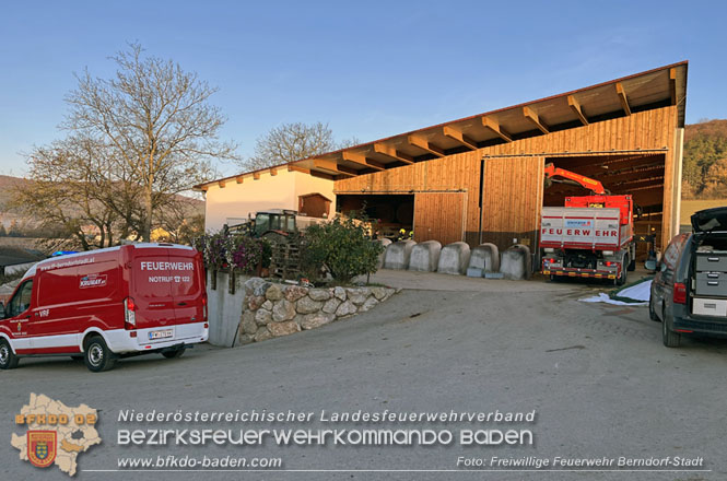 20221108 Trächtige Kuh drohte in Hernstein in Güllegrube zu stürzen  Foto: P. Schiffner Freiwillige Feuerwehr Berndorf-Stadt 