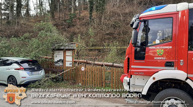 20230105 Sturmschden in Siegenfeld Ortsteil Rosental  Foto: Freiwillige Feuerwehr Siegenfeld