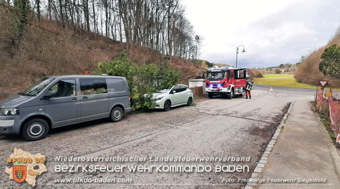 20230105 Sturmschden in Siegenfeld Ortsteil Rosental  Foto: Freiwillige Feuerwehr Siegenfeld