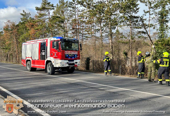 20230105 Sturmschden in Schönau/Triesting  Foto: Freiwillige Feuerwehr Schönau/Triesting