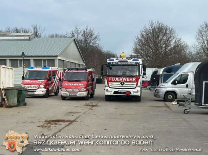 20230113 Pferd von Feuerwehr wieder auf die Beine gebracht  Foto: Thomas Lenger Monatsrevue.at